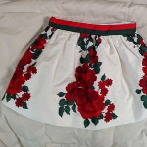 NWT Tulle Lined Skirt